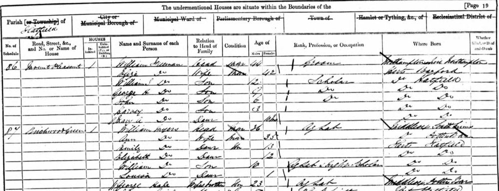 1861 census Hatfield