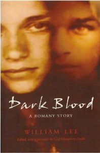 Dark Blood Image
